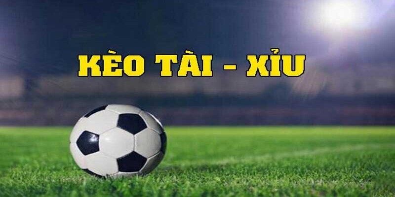 Tài Xỉu 1 1/4 được người dùng quan tâm